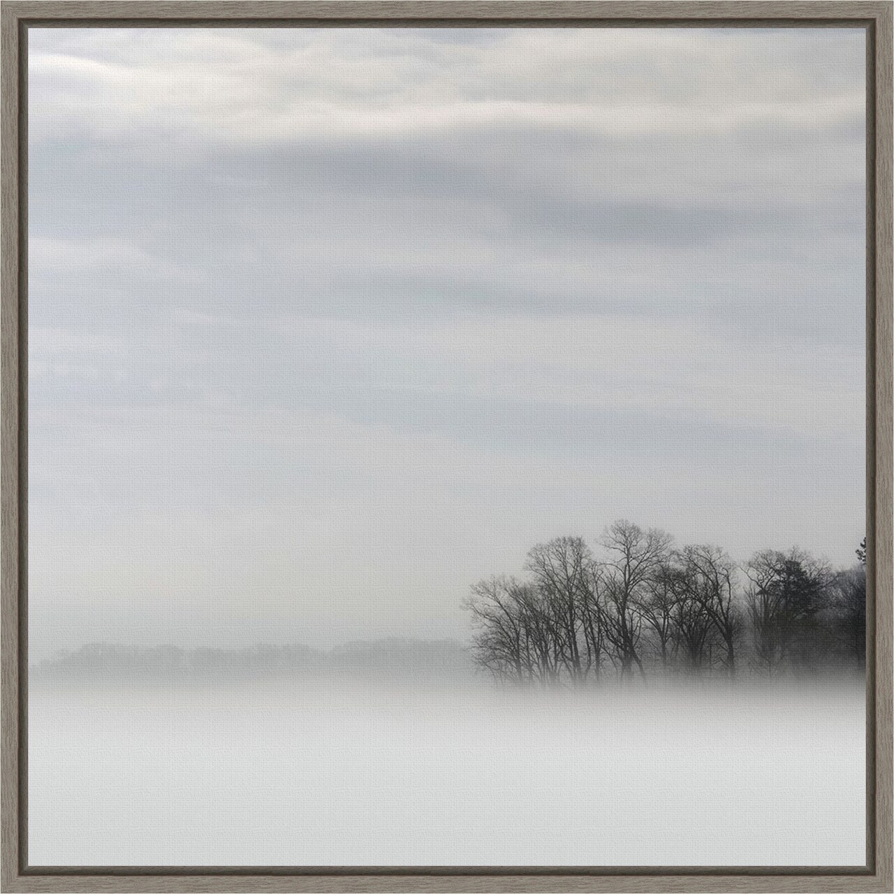 Lake of Fog and Trees by Nicholas Bell 16-in. W x 16-in. H. Canvas Wall Art Print Framed in Grey